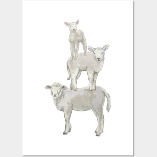 Cute Lambs Stand On Top Of Each Other Posters and Art